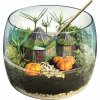 Terárium Clementoni Harry Potter Hagridova chata