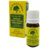 Esenciálne oleje z čajovníka austrálskeho (Melaleuca) 7 ml