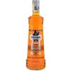 Puschkin Time Warp 17,7% 1 l (čistá fľaša)