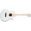 TANGLEWOOD TW4