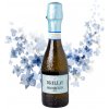 Brilla Prosecco Extra Dry DOC 0,2l - Kartón (24ks)