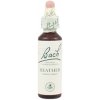 Heather - Vres škótsky 20 ml - bachove kvapky