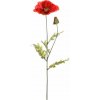 KS PAPAVER 1HLAVA + PUK 72cm