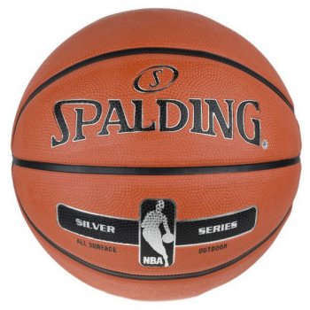 Spalding NBA Silver Outdoor