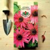 Ježovka purpurová semienka Echinacea purpurea 0,5 g