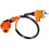 Naraku 4250362410757 Zapaľovanie Racing V.2 vysoký výstup - 2 piny