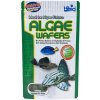 Hikari Algae Wafers 82 g