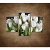 Biele tulipány - 3dielny 90x60cm
