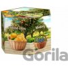 Liran Nazzare Hexagon orchard gift 8 x 6 x 1,5 g