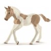 Schleich Hříbě plemene Paint Horse
