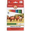 Koh I Noor KOH-I-NOOR Trojhranné pastelky Triocolor 12ks