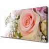 Obraz na plátne Ruže kvety rastlina 100x50 cm