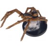 WizKids Dungeons & Dragons - Icons of the Realms Miniatures: #8 Giant Wolf Spider (Fangs and Talons)