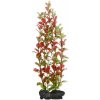 Tetra Red Ludwigia L 30 cm