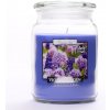 BISPOL Violet Garden 500 g