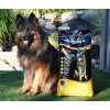 Suché krmivo Energydog s vysokým obsahom bielkovín pre psov dospelých, 18 kg, bravčové