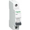 Schneider Electric K60N 1/B 32A