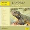 Robimaus Trnorep africký