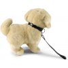 Rappa Plyšový pes zlatý retriever stojaci s vodítkom 25 cm ECO-FRIENDLY
