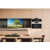 DIMEX | Dibond doska za kuchynskú linku | DBW-10060-085 Strom na lúke | 100 x 60 cm + Dibond obkladová doska Dimex do kuchyne Strom na lúke v rozmere 100 x 60 cm + lepidlo zadarmo