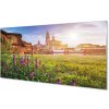 Obraz na akrylátovom skle Nemecko sunrise river 100x50 cm