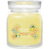 YANKEE CANDLE Lemon Gelato 368 g