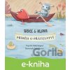 E-kniha Srdce a Hlava - Nishi Singhal