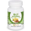 Naturalpharm Amygdalin Vitamin B17 35 mg tablety 100 ks