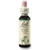 ORIGINAL BACH® Holly 20 ml