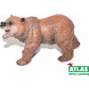 Atlas C Medvěd hnědý 11 cm