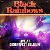 LIVE AT DESERTFEST BELGIUM