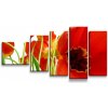 Sablio Obraz - 5-dílný Tulipány - 100x60 cm