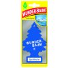 WUNDER-Baum WUNDER-BAUM® Sportfrische (čerstvý vzduch)