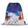 Oxybag kôň