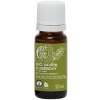 Tierra Verde – Esenciálny olej BIO Vavrín kubébový (TIERRA VERDE), 10 ml