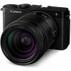 Panasonic Lumix DC-S9