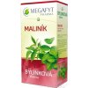 Ihneď k odberu - MEGAFYT Bylinková lekáreň OSTRUŽINA MALINOVÁ bylinný čaj 20 x 1,5 g - Malina
