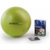 Ledragomma Gymnastik Ball Maxafe 53cm