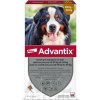 Advantix spot-on 40-60 kg 4 x 6 ml