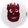 Wilson Mr. Wilson