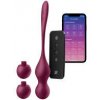 Satisfyer Love Birds Vary Connect App