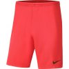 Nike Dry Park III NB KM Shorts BV6855 635 (55219) Green Camo S