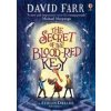 The Secret of the Blood-Red Key - David Farr, Usborne Publishing Ltd