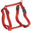 CHAMPION P XXL HARNESS RED