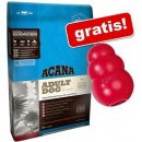 Acana Dog Puppy Large 13 kg