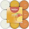 Bolsius Čajové 18ks Mango basic trojfarebné, vonné sviečky