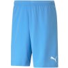 Puma teamRise Short Team