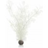 biOrb Plastová rastlina - Sea Fan bielá 39 cm