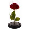 Malatec 21619 Svietiaca ruža v skle