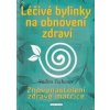 Léčivé bylinky na obnovení zdraví - Vadim Tschenze